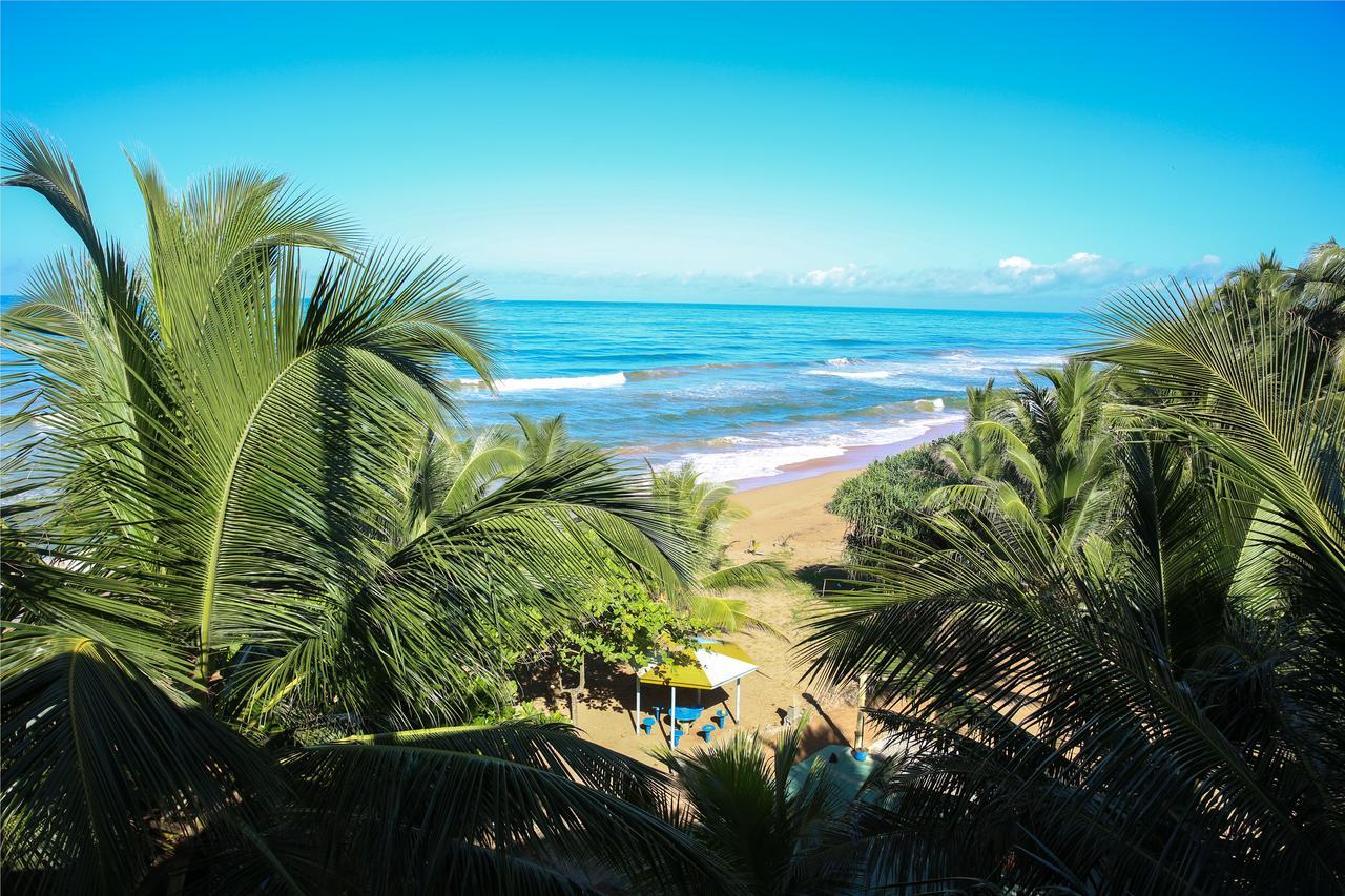 Oasey Ayurveda Hotel Bentota Exterior photo